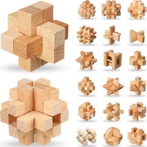 IQ Wood Puzzle